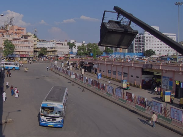 Majestic Escort Service